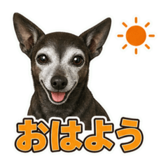 Pixie_20260701114225
