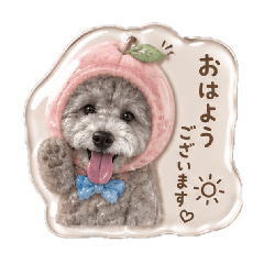 kanna_20260701120206