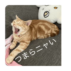 Ayuka_20260701120219