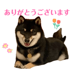 KOMEJIRO.JP