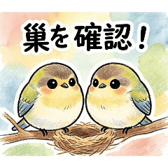 EdA3RzAEIEU2QWO7_20260701121308
