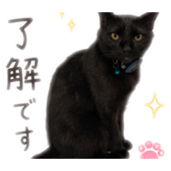 MUGI_20260701124738