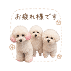 COCOTAIL_20260701124953