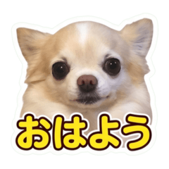 Mimi_20260701130634