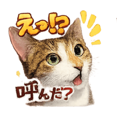 Atsushi_20260701132655