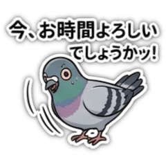 rinko_20260701133116