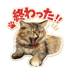 MOKO_20260701134020