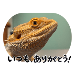 kz_20260701135523