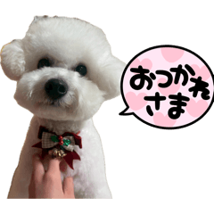 kenta250_20260701140555