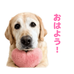 Saku_20260701140112