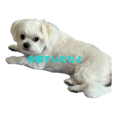 kiki_20260701143122
