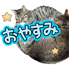 tintaro_20260701142923