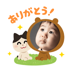 Yoshi__planar_20260701144515