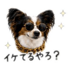 NOAH_vol.2