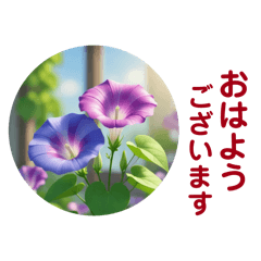 Dolce_20260701144214