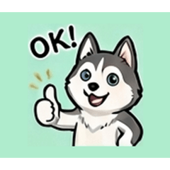 HUSKY thinking