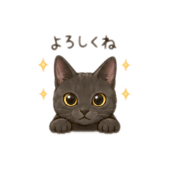Taro_AOI20260701