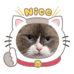 Olafkundesu