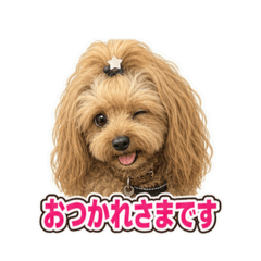 yumi_20260701145707