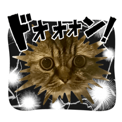 Chibi_20260701152359