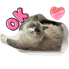 Olafkundayo