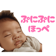 sakuramaru_20260701153527