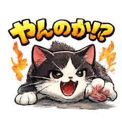 angry cat