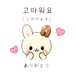 SHIHO_20260628100844