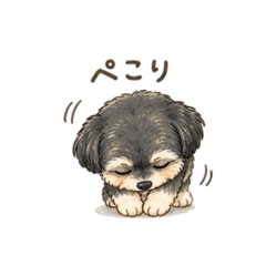 Cielo.daily2