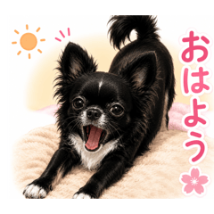 TARO_20260629212335