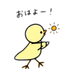mugicha_20260630000149