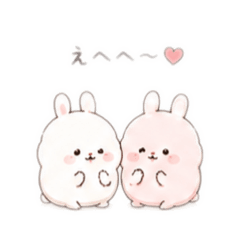 maomao_20260630001352