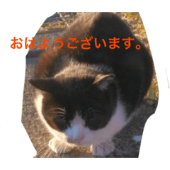 ETsuko's_20260630004659