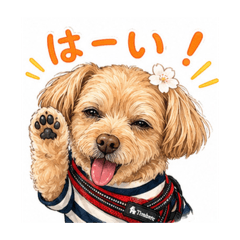 aya_20260630012545