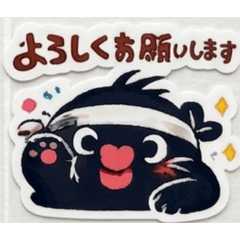 sasa_20260630042120