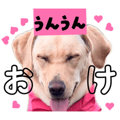 ARISA_20260630020534