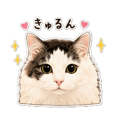 catcoma