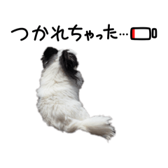 hako_20260630063348