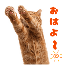 kinakomochi_20260630063357