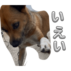 jo_20260701165043