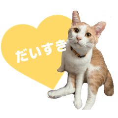 shion_20260701165258