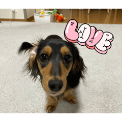 hana_20260701170448