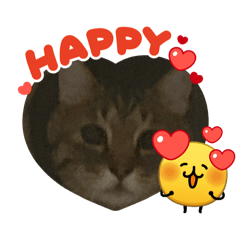 syu_20260701172212
