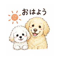 nokka_20260701173614