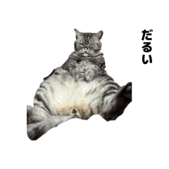 cola1215