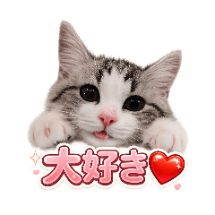 torigoesaho_20260701174133