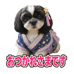 YUIKO_20260701175016