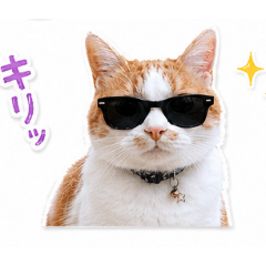 runnyaka