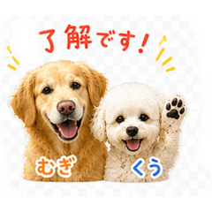 nokka_20260701175100