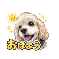 nakashi_20260701175500